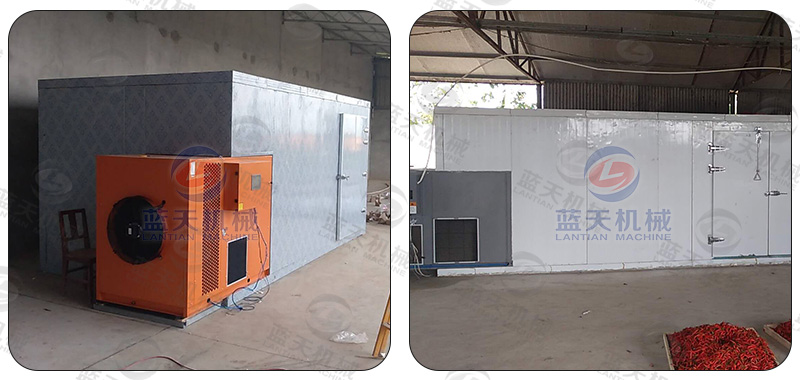 菊花箱式烘干機(jī)現(xiàn)場